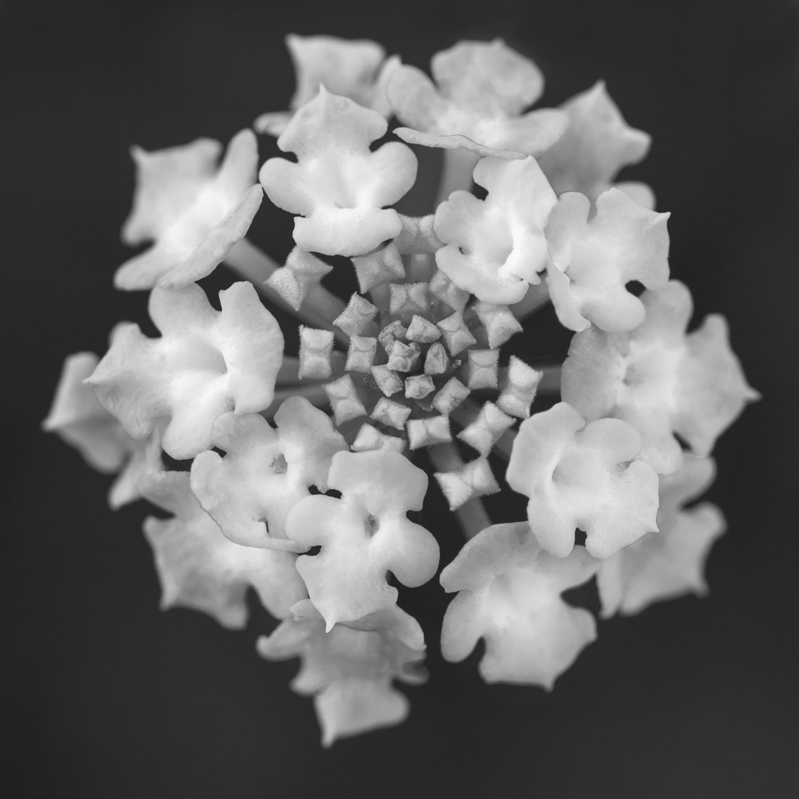 00013__I4C1458bxw2011.8-2