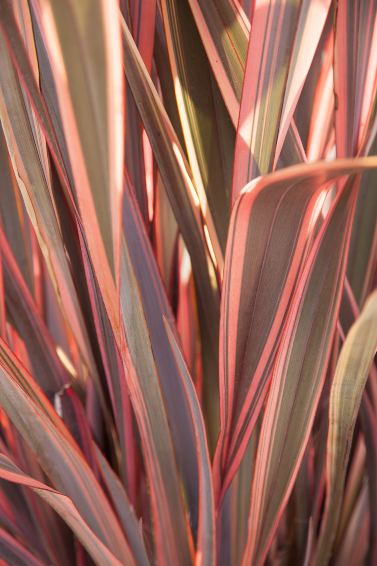 00050_060610_9821.2-2
